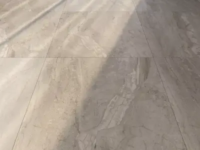 Marble Floor Set 57 Texture