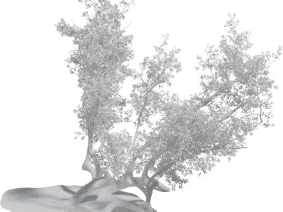 Twisted Coastal Tree Low-poly 3D model