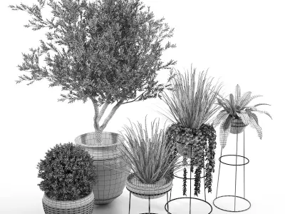 CB2 Set three potted plants 3D model