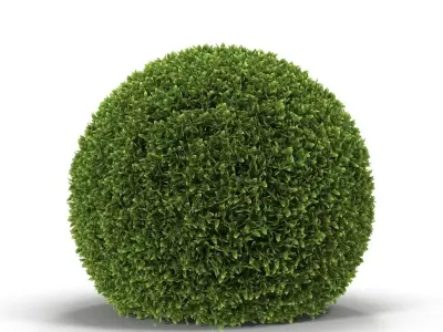 Hedge Sphere 3D model