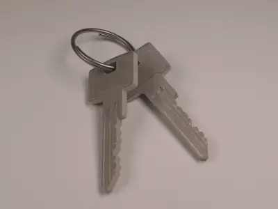 Bunch of Keys 3D model