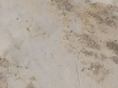 PBR Sun Bleached Weathered Plaster  Texture