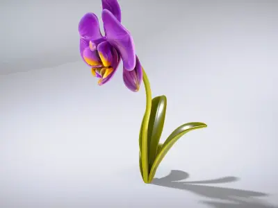 Elegant Purple Orchid model pack Low-poly 3D model