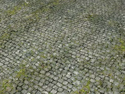 Cobblestone Road  3D model