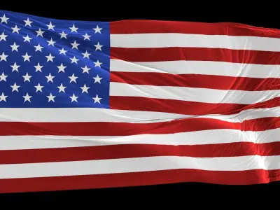 USA flag 3D model