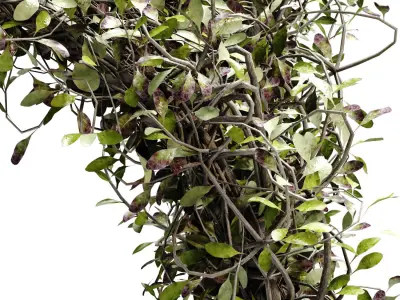 Green Corridor Landscape exterior green set 641 3D model