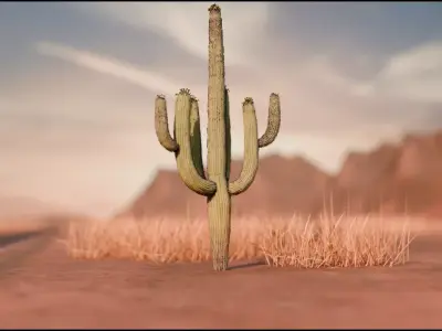 DESERT 3D model buy