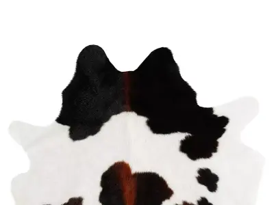 Chocolate and White Cowhide Rug 3D model