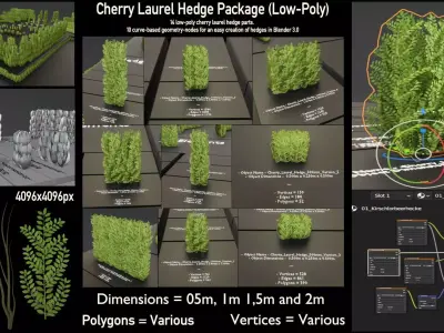 Cherry Laurel Hedge Package  Low-poly 3D model