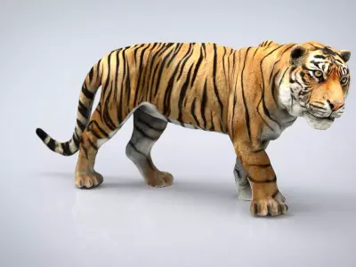 TIGER Low-poly 3D model