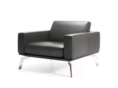 DS 87 01 Armchair 3D model