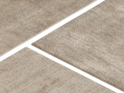 Carpet set 9101 - Wool Beige Rug - 4k 3D model