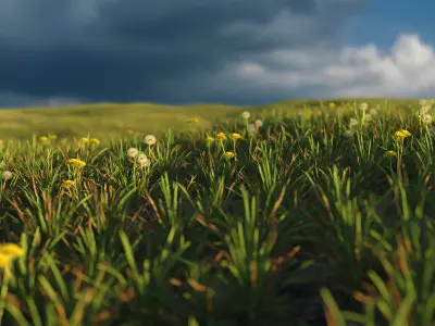 Spring field 3D model