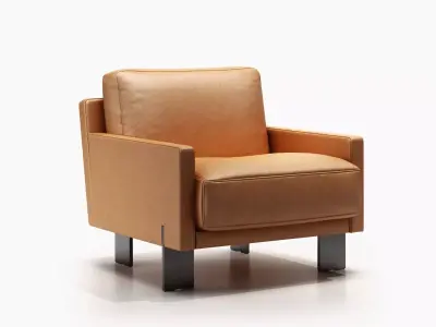 DS-77 Armchair 3D model