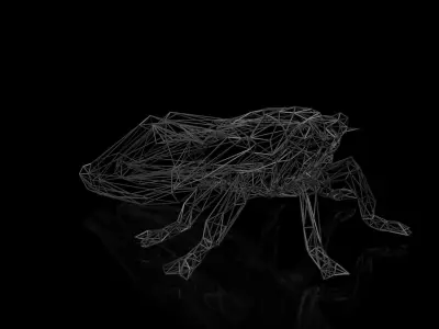 Cicada Wireframe Low-poly 3D model