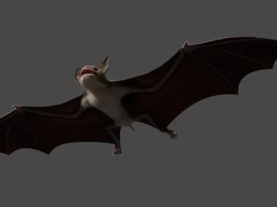 Vampire Bat ANIMATED 3D model