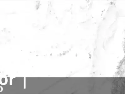 Ecuador Occlusion Thickness Cavity Curvature Direct 10k Maps Texture