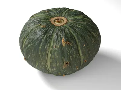 Green Japanese Pumpkin - Photorealistic  Scan Low-poly 3D model