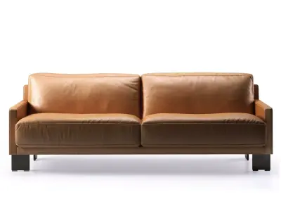 DS-77 3-Seater 3D model