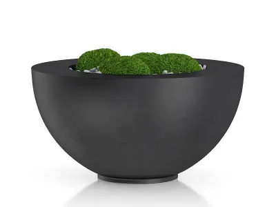 GardenPlants palm tree in pot 3D model