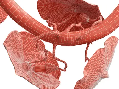 Nenufar horizantal chandelier 3D model