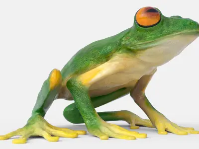  Walking Tree Frog Animated Rigged for Blender 