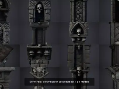 Bone Piller column pack collection set 1
