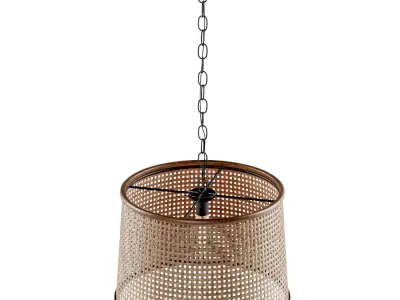 Rattan pendant light  3D model