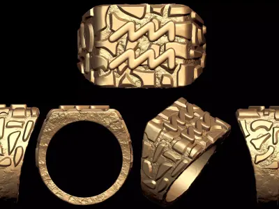 Aquarius Horoscope Zodiac Nugget Ring  3D print model