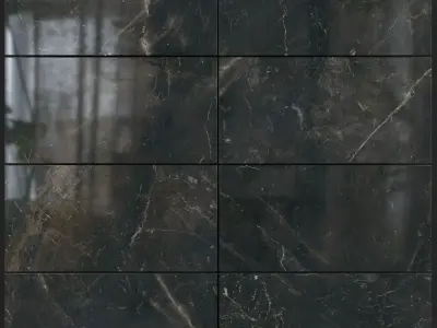 Yurtbay Seramik Carelia Black 300x600 Set 4 3D model