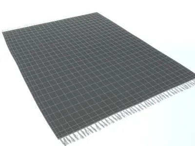 Carpet Natural Jute ZARA HOME 3D model