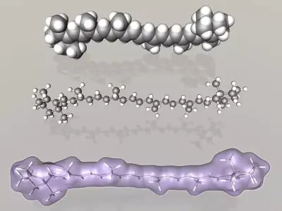 beta-Carotene molecule 3D model