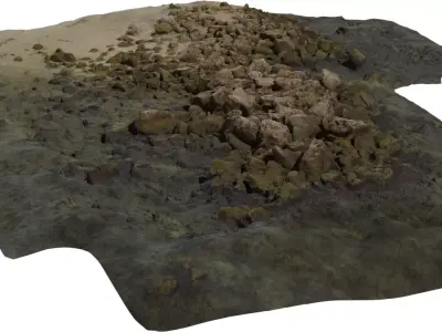 Coastal Rock and Algae Patch Low-poly 3D model