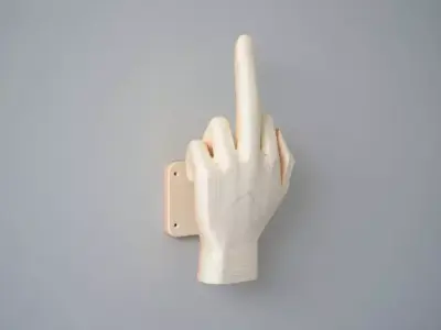 Wooden Middle Finger Hand on Plaque 3D print model
