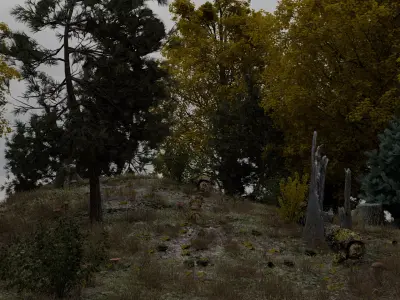  Realistic forest 3D model