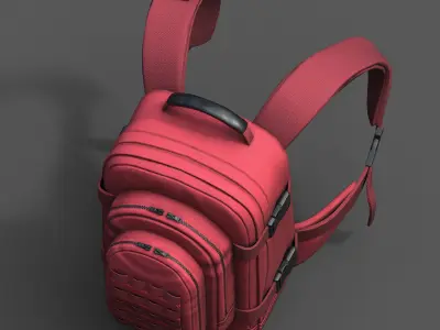 Backpack Camping bag baggage Color  Low-poly 3D model