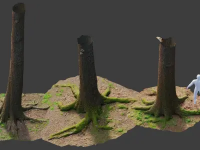 PBR Oak Tree Big Forest Scan Trunk Pack Low-poly 3D model