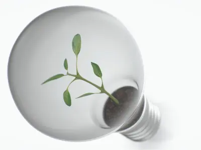 Lightbulb Plant 3D model