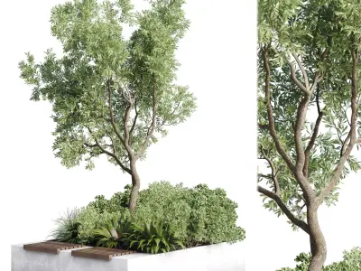 Urban Environment Urban Furniture Green Benches Plants and Tree 3D model
