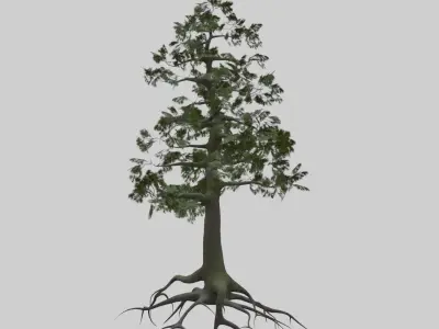 Low Poly Japanese Shinto Temple Pack With PBR Materials Low-poly 3D model