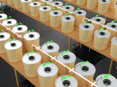 ILLUSTRATION VISUALIZATION DUTCH BUCKET HYDROPONIC SYSTEM TRAY 3D model