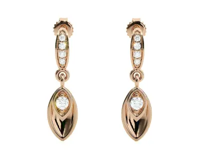 Light wt Women Diamond Earrings  3D print model