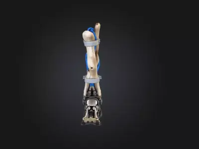 Cyborg Bone Strider Limb Low-poly 3D model
