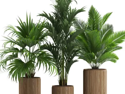  Plants collection 539 