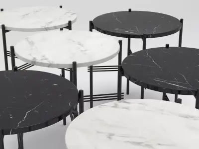 TS Table 3D model