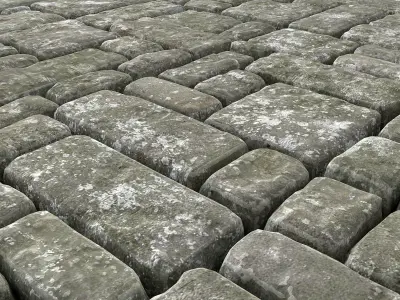 Paving old title n2 3D model