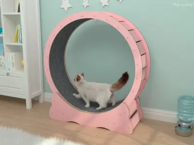  Ragdoll Cat Walking on Exercise Wheel Fur for Maya 
