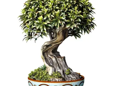 Decorative tree Bonsai plant Rustic flower vase urn flowerpot 3D model
