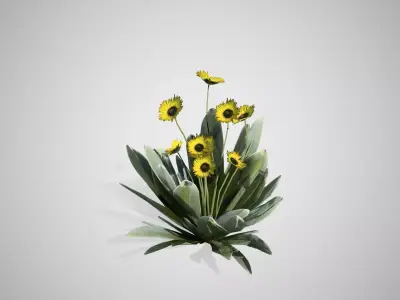 Frailejon flower Low-poly 3D model