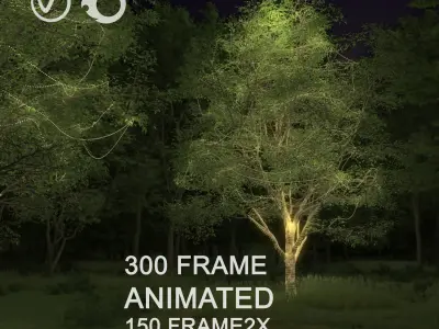 ENGLISH WALNUT TREE light 3D model 3D model